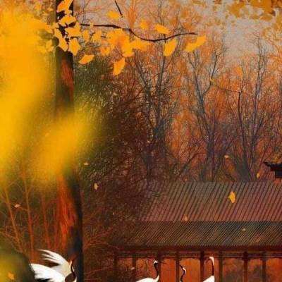 双面战姬游戏(暂未上线)v1.0 安卓版