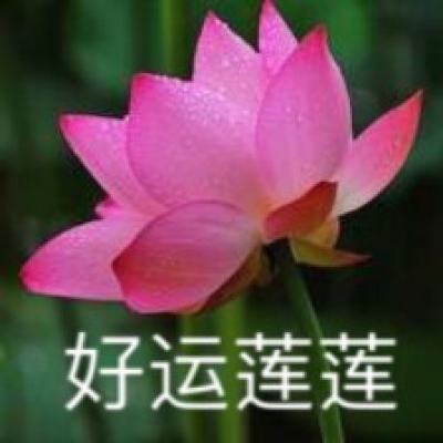 新神曲满v版bt版下载